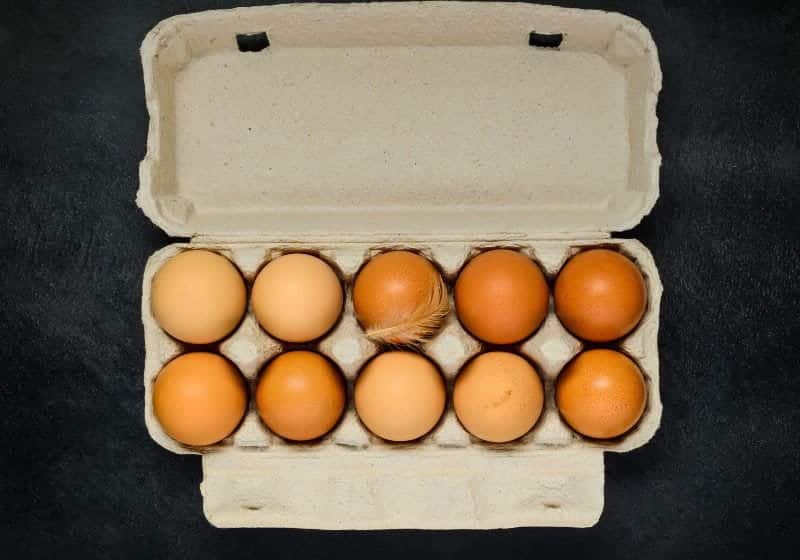 bandeja de ovo e um fundo preto 