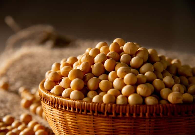 Um cesto com grãos de soja