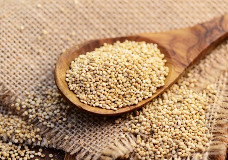 Uma colher cheia de quinoa